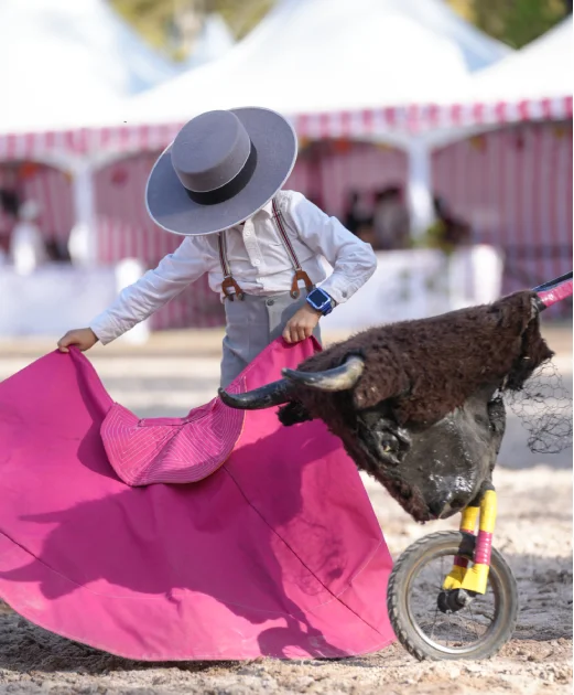 Vendimia brava-la santisima trinidad-vendimia brava San Miguel de Allende